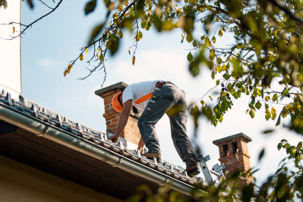 Best Roof Gutter Cleaning  in Crawfordsville, IN